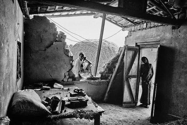 Striking Photographs From The Man-Elephant Conflict In India's Coal Belt | Homegrown India