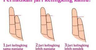 Ukuran jari kelingking ternyata bisa gambarkan karakter serta kesehatan seseorang. 3 Arti Jari Kelingking Dan Cara Membacanya
