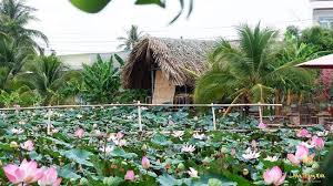 Diễn đàn giải trí, mua bán, rao vặt trực tuyến miễn phí nha trang club. Nha Trang Xua Restaurant Restaurant Bewertungen Telefonnummer Fotos Tripadvisor
