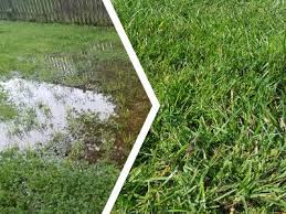Richten sie also ihr hauptaugenmerk auf das richtige anschließen Staunasse Im Rasen Beseitigen Nur So Wasser Im Garten Loswerden