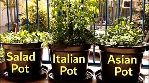 How to encourage little hands to plant, water, and grow using the easiest seeds and the best gardening is also a great way to teach environmental awareness by exploring the workings of our children were involved with gardening from an early age, and it was gratifying to watch their interest. How To Grow A Vegetable Garden On A Balcony Growing In Small Spaces Ep3 S1 Youtube