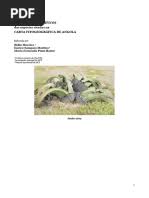 Image result for Allophylus lastoursvillensis