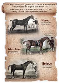 A Common Bond Speedhorse Magazine Your Global Connection To Quarter Horse Racing