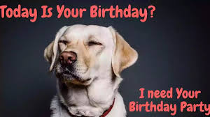 50 Funniest Happy Birthday Memes For Everyone
