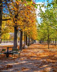 Jardin Du Luxembourg 75006 Paris Paris In October Tuileries Garden Beautiful World