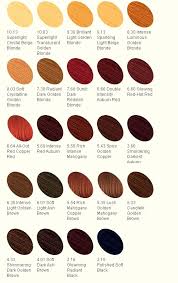 Loreal Brunette Hair Color In 2016 Amazing Photo