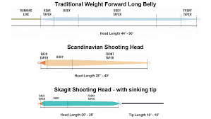 skagit vs scandi