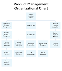 What Is A Chief Product Officer Definition Overview