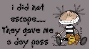 Day Pass Funny Crazy Jokes Lol Funny Quotes Humor Humorous Quotes Best Funny Jokes Cute Quotes Give It To Me