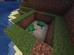 You need to be not more than 128 blocks from the egg. Turtles Not Laying Discussion Minecraft Java Edition Minecraft Forum Minecraft Forum