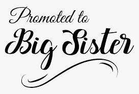 Food rationing, which does not affect inner party members, is in place. Promoted To Big Sister Free Big Sister Svg Hd Png Download Kindpng