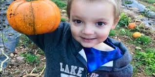 Snapshots: Week of Nov. 6, 2017