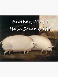 Brother May I Have Some Oats Pig Meme Greeting Card By Quazzimodo619 Redbubble