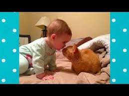 Funny Cats And Babies Playing Together 3 Funny Babies And Pets Youtube Funny Babies Funny Baby Pictures Pictures Of Baby Cats