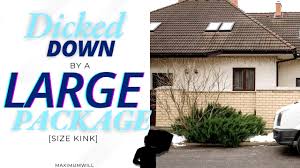 Size Kink Audio - Delivery Driver CUMS inside and Dicks You Down