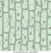 Photo about microscopic view of a plant stem cross cut section under the scientific microscope. Plant Cell Pattern Plant Cells Under Microscope Seamless Vector Pattern Canstock