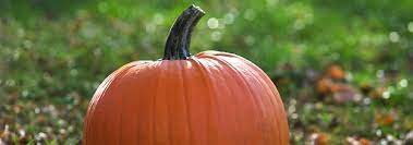 Oct 12, 2021 · 16 pumpkin spice items that miiiiight've gone a bit too far uncertain whether pumpkin spice spam or pumpkin spice cup noodles scare me more, tbh. Are These Pumpkin Spice Products Real Or Fake