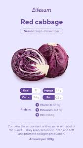 Amount of calories in cabbage: Red Cabbage Nutrition In 2021 Cabbage Nutrition Food Nutrition Facts Nutrition Recipes