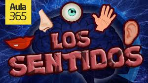 Igualmente, los juegos interactivos infantiles son ideales para los pequeños con déficit de atención y. Los Cinco Sentidos Videos Educativos Para Ninos Youtube