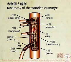 Then select some screws that will make the connections on each end. 340 Wooden Dummy Ideas Wooden Dummy Wing Chun Martial Arts Training