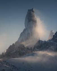 Image result for Memecylon torrei