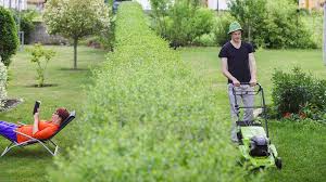 Volkssport Nachbarschaftsstreit Krieg Am Gartenzaun