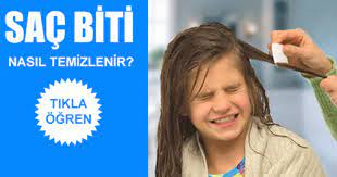 Sactaki Sirke Nasil Temizlenir En Etkili Bitkisel Ve Dogal Yontemler