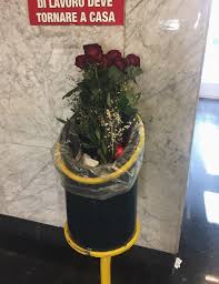 Il mazzo di rose rosse è l'ideale da regalare durante un corteggiamento, un anniversario di matrimonio o per san valentino. Mazzo Di Fiori Tumblr