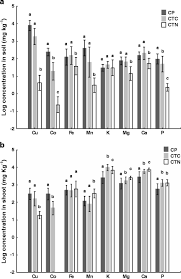 Image result for Crepidorhopalon