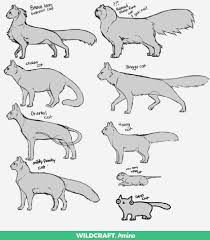 Pin By Lost Shadow On Tutorialy Koshachi Cat Drawing Tutorial Animal Drawings Art Reference Poses