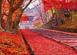 Of or relating to autumn. Autumn In Osaka 8 Best Places For Fall Foliage In Kansai Best Times To Visit 2020 Edition Live Japan Travel Guide