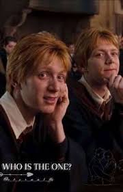 Secret Existence (A Harry Potter Fanfic)