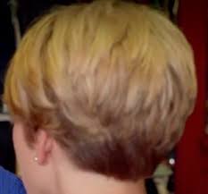 Erin Napier Back View Short Hair Back Chic Short Hair Stylish Hair