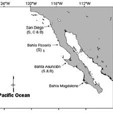 We did not find results for: Map Of West Coast Of Southern California Usa And Baja California Download Scientific Diagram