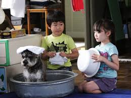 社会現象となった「マルモのおきて」初放送から10年...芦田愛菜＆鈴木福の名演技をもう一度|芸能人・著名人のニュースサイト ホミニス