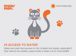 Heatwave Safety Tip No 5 Make Sure Your Pets Have Access To Water And Shade Especially If You Have To Leave Them Outside In Heat Safety Finance Heatwave