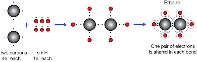 Atoms form bonds to try to achieve the same electron configuration as the noble gases. Covalent Bonding