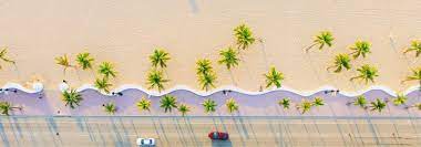 The project focuses on the scale of the. The Top 10 Things To Do In Miami Attractions Activities
