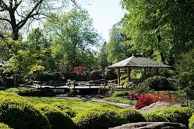 Plan your own adventure to botanischer garten / loki schmidt garten, a bike touring attraction recommended by 78 people. Hochzeit Im Botanischen Garten Botanischer Garten Augsburg Reisebewertungen Tripadvisor