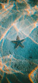 Nu23 Starfish Sea Beach Nature Via Http Iphonexpapers Com Wallpapers For Iphone X Nature Wallpaper Ocean Wallpaper Beautiful Wallpapers We have a massive amount of desktop and mobile backgrounds. nu23 starfish sea beach nature via http