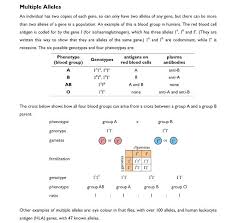 Multiple alleles (abo blood types) and punnett squares. 560 Biology Ideas In 2021 Biology Teaching Biology Biology Classroom