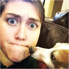 khiggins115 (Cade Higgins) · GitHub