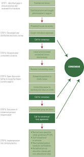 Flow Chart Of Our Process For Achieving Formal Consensus