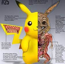 These Anatomically Correct Pokémon Are Pure Nightmare Fuel, PokéNatomy is  Terrifying | Geeks