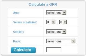 Davita Gfr Tracker Low Kidney Function Chronic Kidney Failure Chronic Kidney Disease