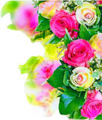 Open Full Size Colorful Rose Wedding Flower Flower Watercolor Rose Flower Background Hd Download Rose Flower Hd Flower Wallpaper Rose Flower Wallpaper