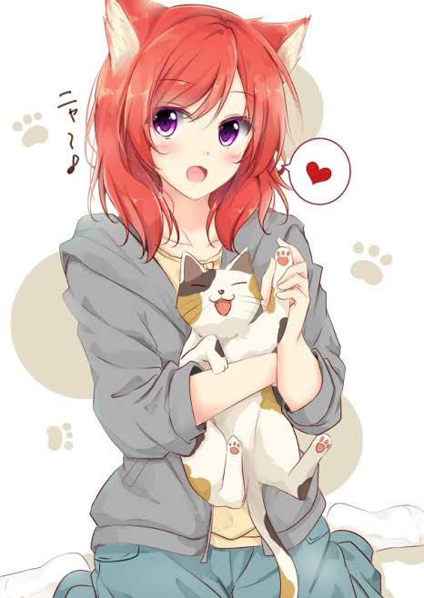 cat