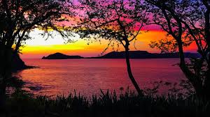 12 Best Things To Do In Tamarindo, Costa Rica For Every Traveler