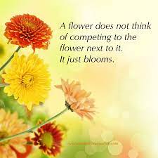 Pin On Quotes