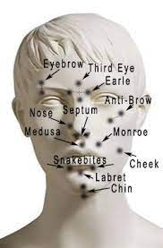 Pin By Katie Dragna On Beautimuss Face Piercings Facial Piercings Eyebrow Piercing